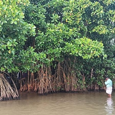 Dilkush Munroe Homestay Kollam Luaran gambar