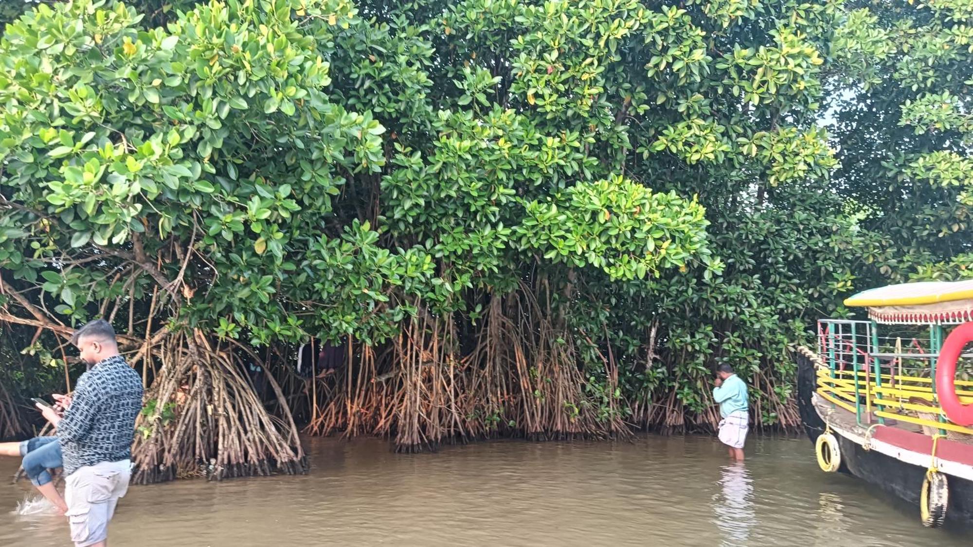 Dilkush Munroe Homestay Kollam Luaran gambar